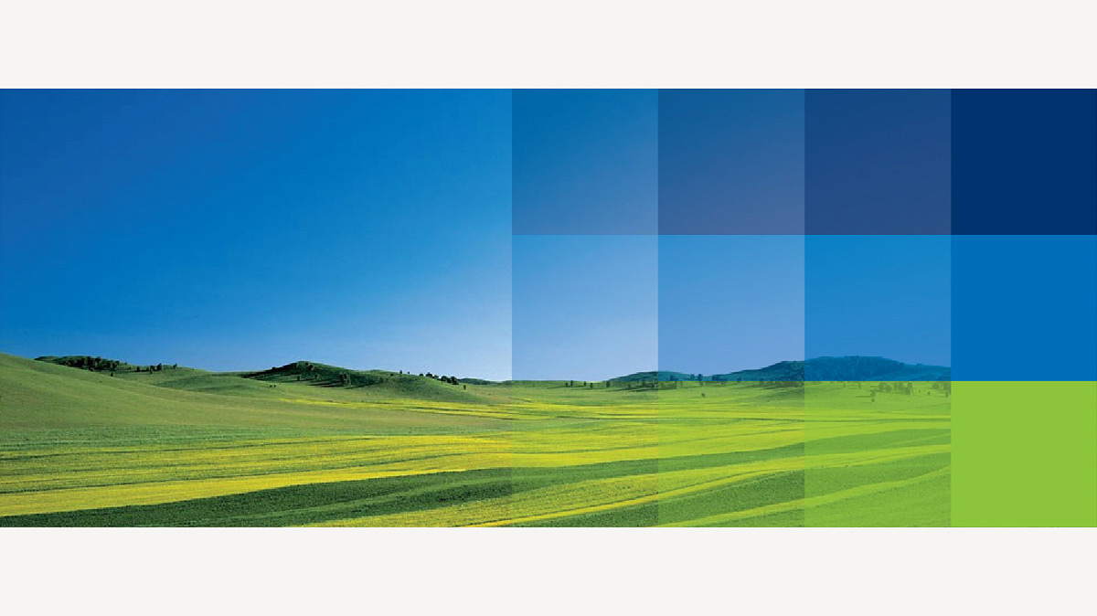 金融企業(yè)VI設計