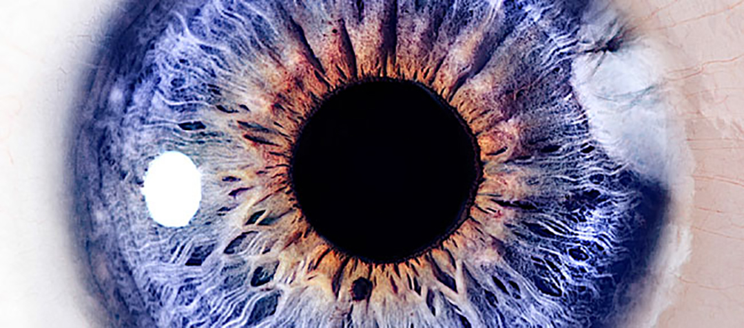 廣告設(shè)計公司品牌形象