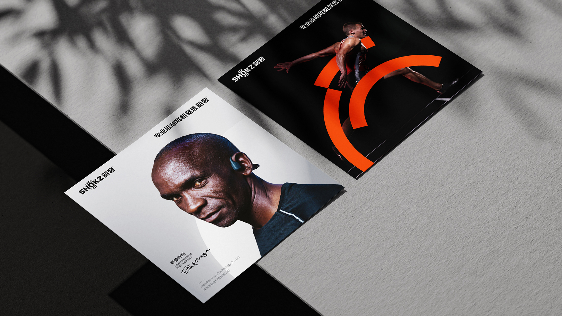 韶音品牌LOGO設(shè)計(jì)