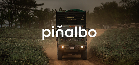 水果品牌形象設(shè)計