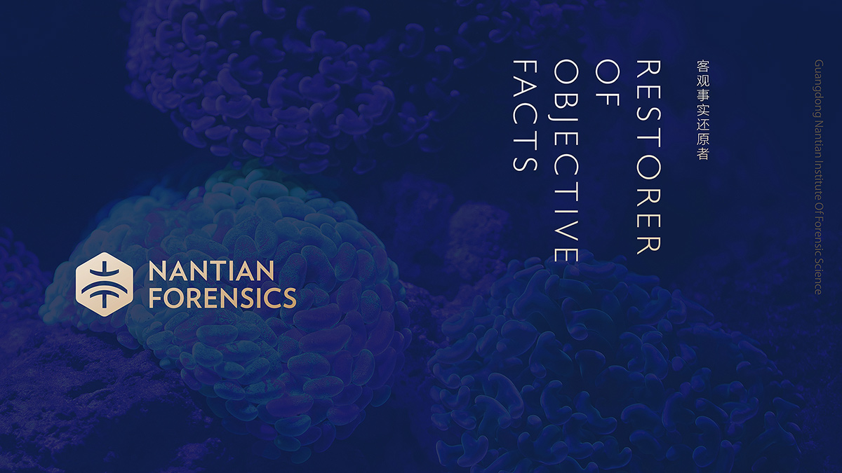 LOGO設(shè)計(jì)